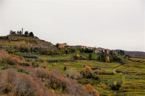 De mooiste plekjes in de wijnregio Goriška Brda in。